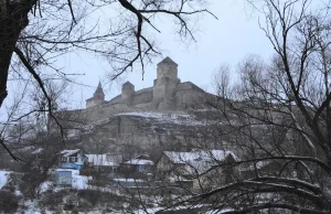 Historycznie, jak Polacy powstrzymywali Europę przed Muzułmańską nawałnicą.