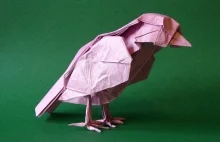 Origami - Papierowe Fantazje