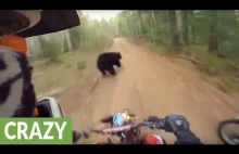 Motocyklista prawie uderza w Niedźwiedź.