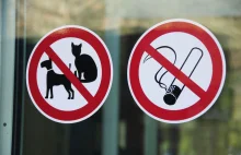 Czy można zabronić wchodzenia do urzędów z psem - wyrok WSA