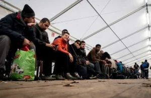 Niemcy: dwie trzecie nowych imigrantów pobiera zasiłki dla bezrobotnych