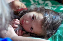Trzylatka przeżyła 11 dni w tajdze dzięki swojemu szczeniakowi