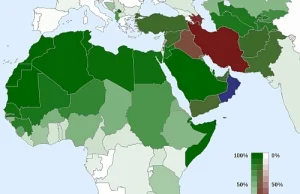 Wojna arabsko-europejska - Będzie lepiej.