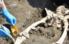 Sensacyjne znalezisko pod szkieletem z Pompejów. Pochodzi z... 79 roku!