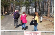 Zwiedzający ZOO zignorowali zakaz i weszli na tymczasowy wybieg dla lwów. Znowu.