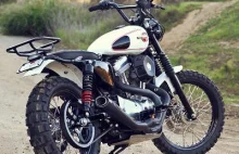 Sentymentalna wyprawa w teren czyli Sportster Scrambler