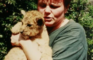 Od 40 lat zastępuje zwierzętom matki. Mama Ela wychowała lwy, tygrysy i...