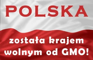 Polska zakazała upraw GMO!