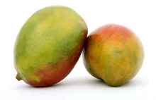 African Mango – wartości odżywcze i jego wpływ na organizm