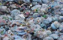 Polska odesłała Wielkiej Brytanii tony nielegalnie przetransportowanych odpadów