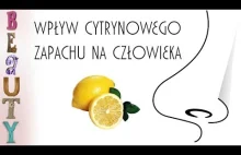 Wpływ zapachu cytrynowego na myślenie i zachowanie