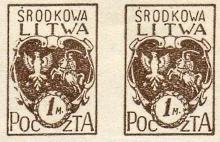 Symbolika i tożsamość Litwy Środkowej: Polska-niepolska
