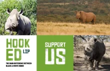 Kenijski rezerwat chwali się nosorożcami