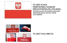 Krótki przewodnik dla Januszy flagi