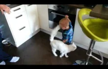 Kot chroni małego chłopca przed gorącym piecem