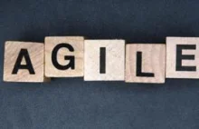 Agile Methodology - How Does it Bite?