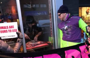 Kanadyjski restaurator oporządził i zjadł jelonka na oczach protestujących wegan