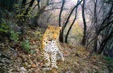 National Geographic- najlepsze zdjęcia z ukrytej kamery 2012