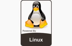 Linux kernel 4.9 zostal wydany