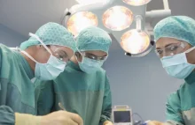 Lekarze z RPA przeprowadzili pierwszą na świecie udaną transplantację penisa