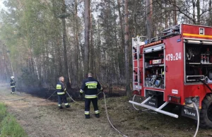 7 ofiar śmiertelnych i ponad 2 tysiące pożarów w trakcie majówki