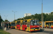 Slangowy alfabet kierowców warszawskich autobusów: kebaby, bizony, osiołki