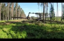 Wycinka drzew!! Harvester Ponsse Ergo H7 ""ENGINE SOUND"" HD