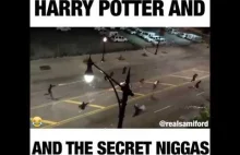 Harry Potter and the secret Niggas!