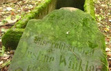 Zapomniane cmentarze Pomorza i Kujaw