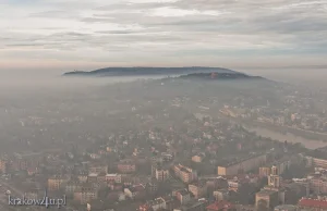 Krakowski smok, taki piękny !