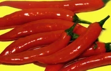 Ostra papryczka chilli zdrowym dodatkiem do potraw
