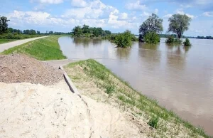 Chroniąc ptaki, narażają ludzi? Regulacja Wisły zablokowana