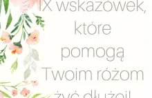 IX wskazówek, które przedłużą żywotność Twoich róż