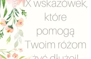 IX wskazówek, które przedłużą żywotność Twoich róż