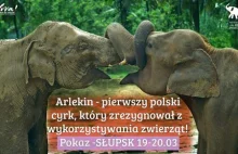 Pierwszy polski cyrk bez zwierząt już jutro w Słupsku!!! - Blog o z...