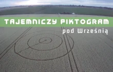 Piktogram na polu pod Wrześnią – kto go wykonał? [FILM