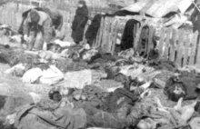 Zabitych grzebano w pośpiechu. 75. rocznica rzezi UPA w Berezowicy Małej