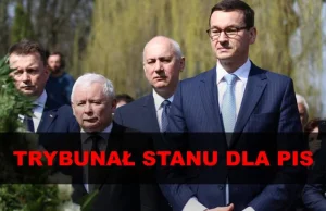 Obywatel D.C. - Trybunał Stanu dla PIS