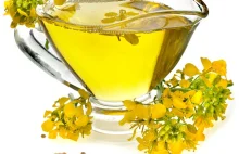 Olej rzepakowy - polecany bardziej niż oliwa