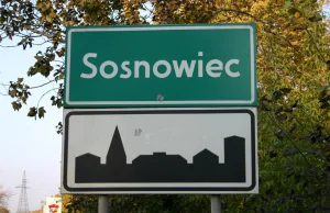 US w Sosnowcu jak mafijna rodzina. Urzędniczki brały udział w oszustwach.