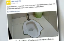Toalety dla migrantów. Australia nie może nauczyć ich siadania na desce.