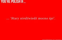 Fu*k yeah Polska and Polacy!