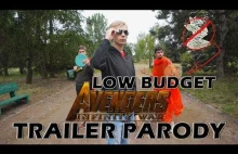 Parodia zwiastuna "Avengers: Infinity War" stworzona przez Polaków