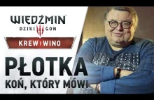 Płotka - koń, który mówi.