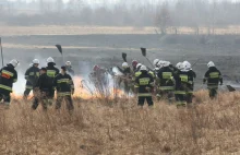 Wielki pożar traw w Łodzi! Na miejscu pracuje 17 zastępów straży pożarnej