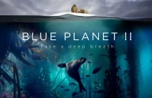 Wszystkie odcinki Blueplanet II - nowego filmu przyrodniczego BBC o oceanach