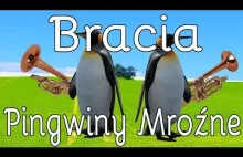 Bracia Pingwiny Mroźne [Pingwiniec uOrkiestra