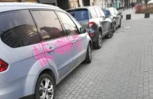 "Ekolodzy" pomalowali auta farbą w sprayu na Mokotowie! Co byście zrobili?!