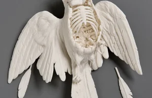 Ciekawe porcelanowe prace autorstwa Kate MacDowell