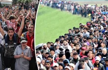Nadchodzi kolejna fala imigrantów do Europy. Węgrzy zatrzymują coraz...